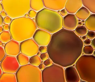 Oregano oil in a glass bowl